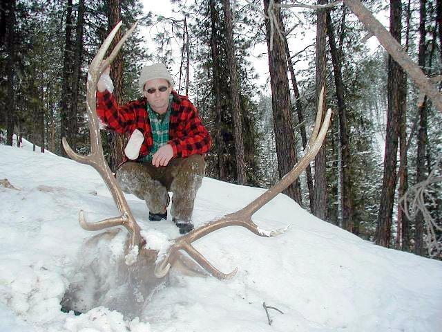 elk4